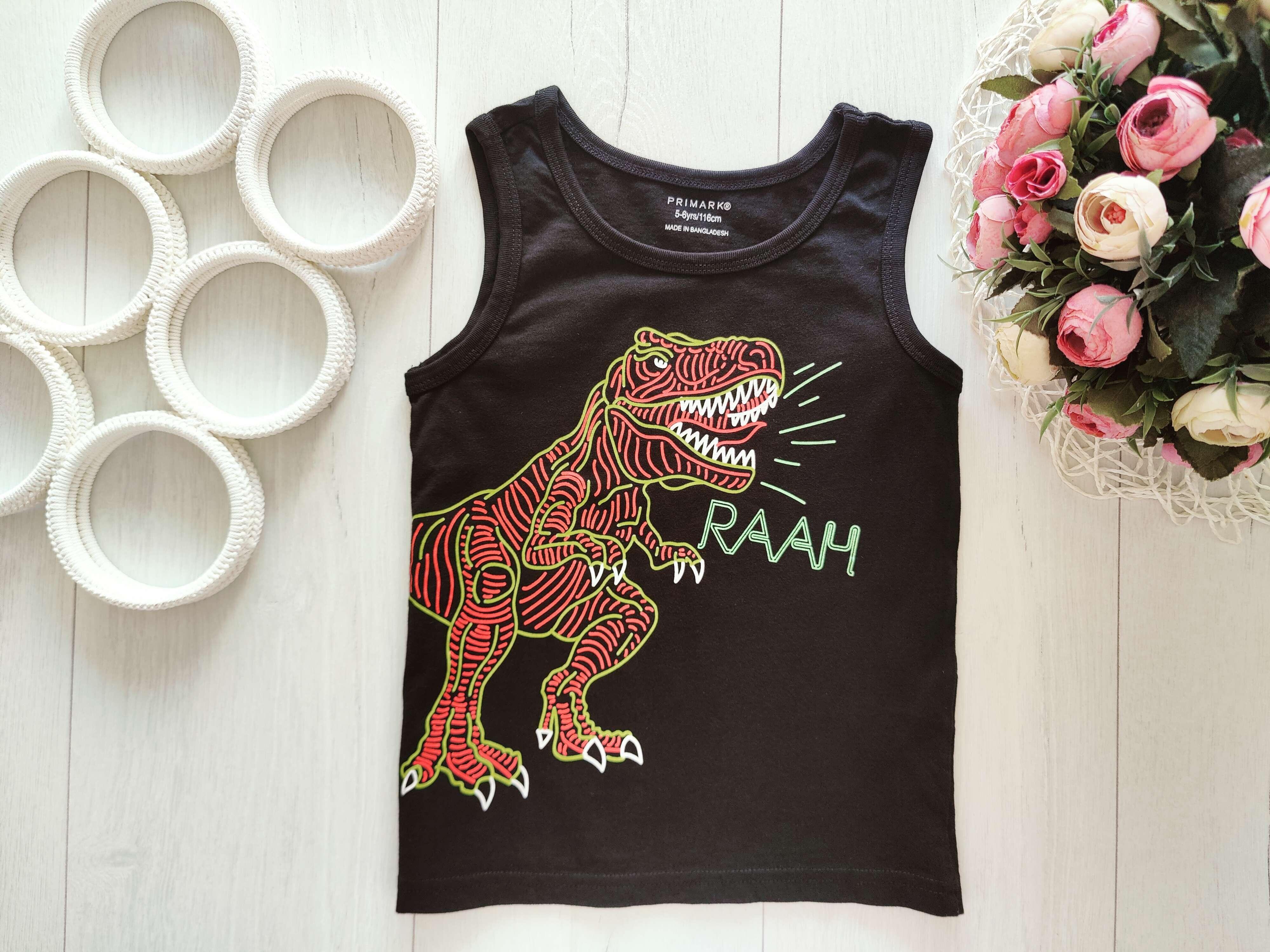 5,6 лет, рост 116 Майка с динозавром