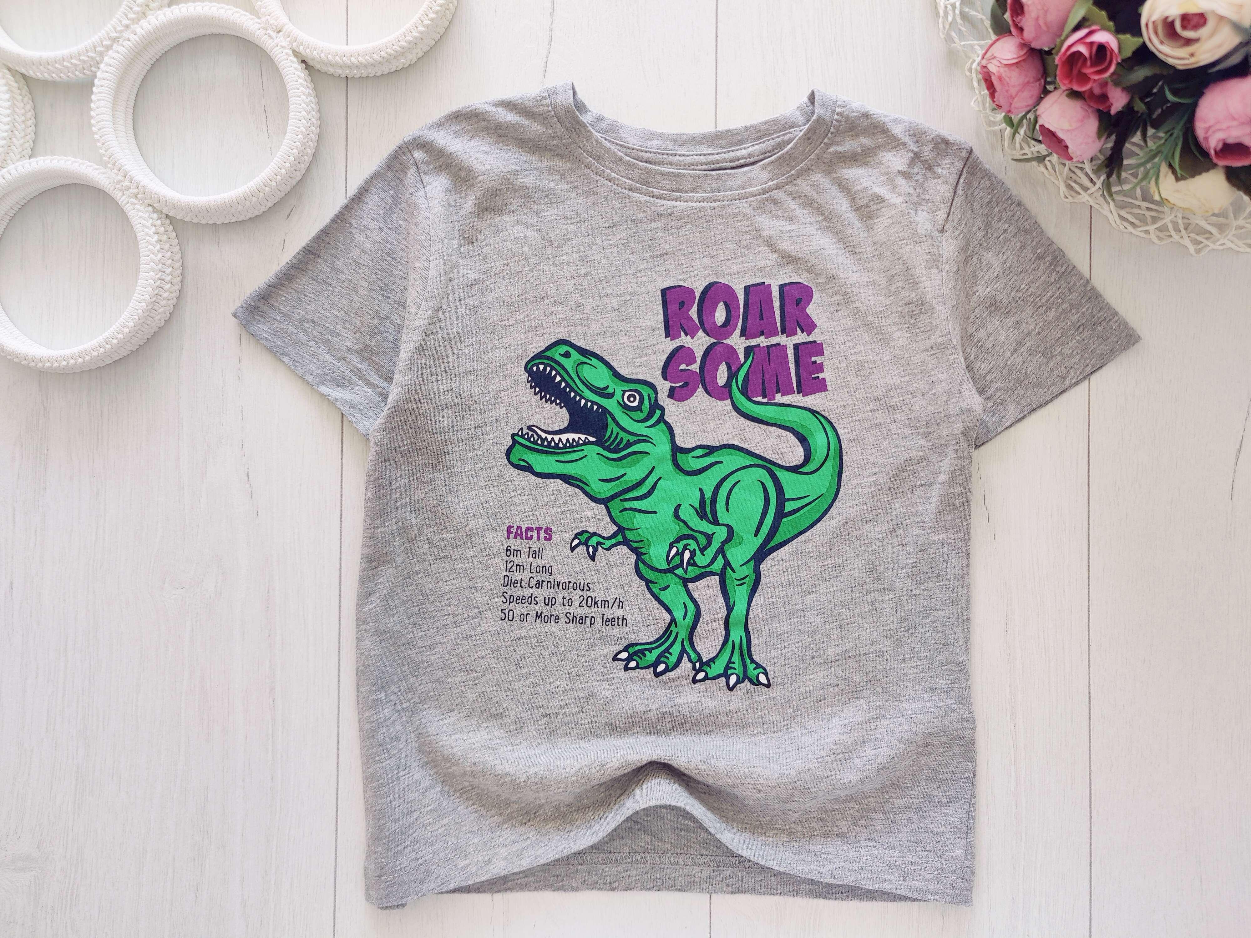 3,4 года, рост 104 Футболка с динозавром