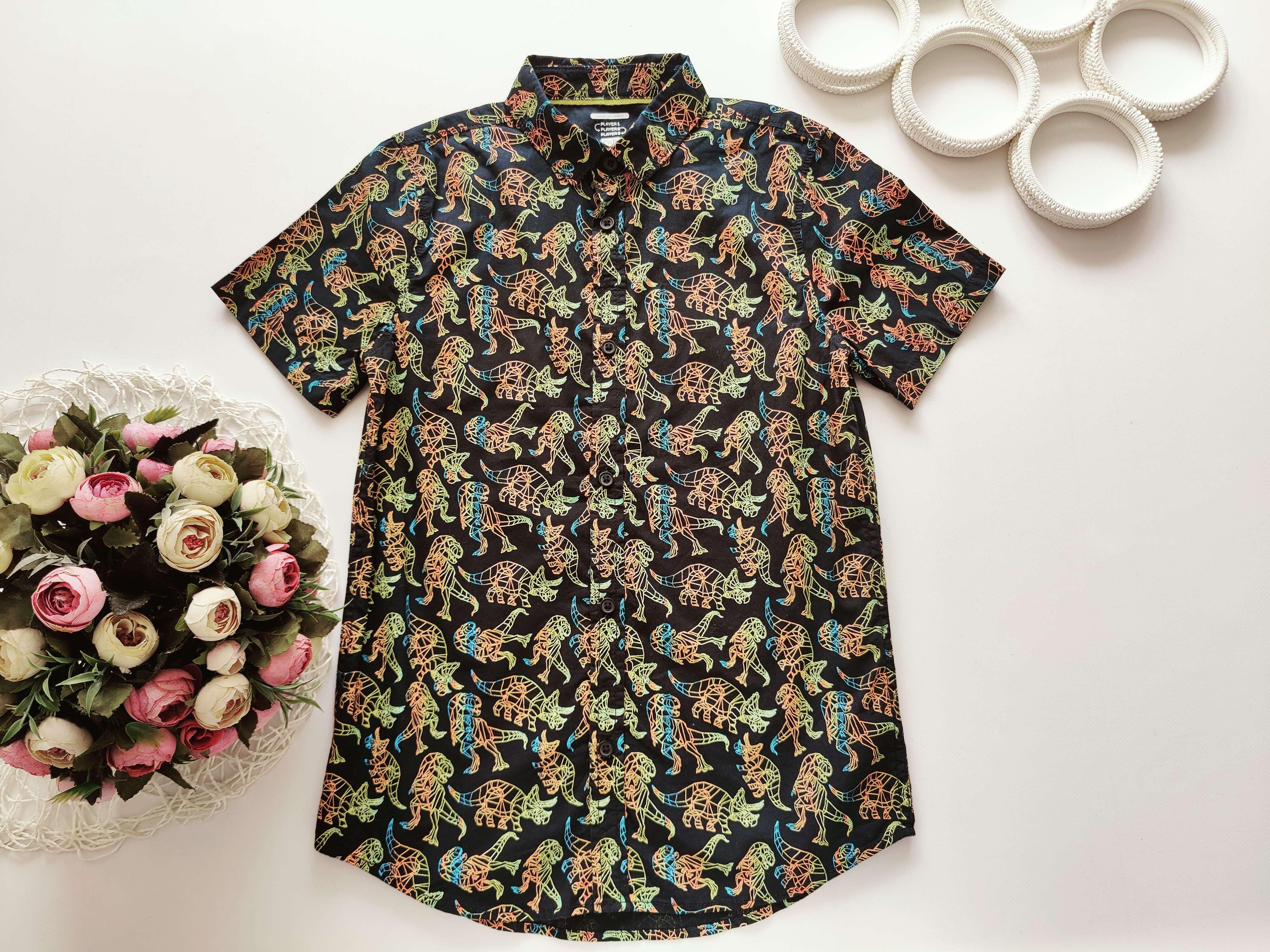 10,11 років, зріст 146 Сорочка в динозаврах