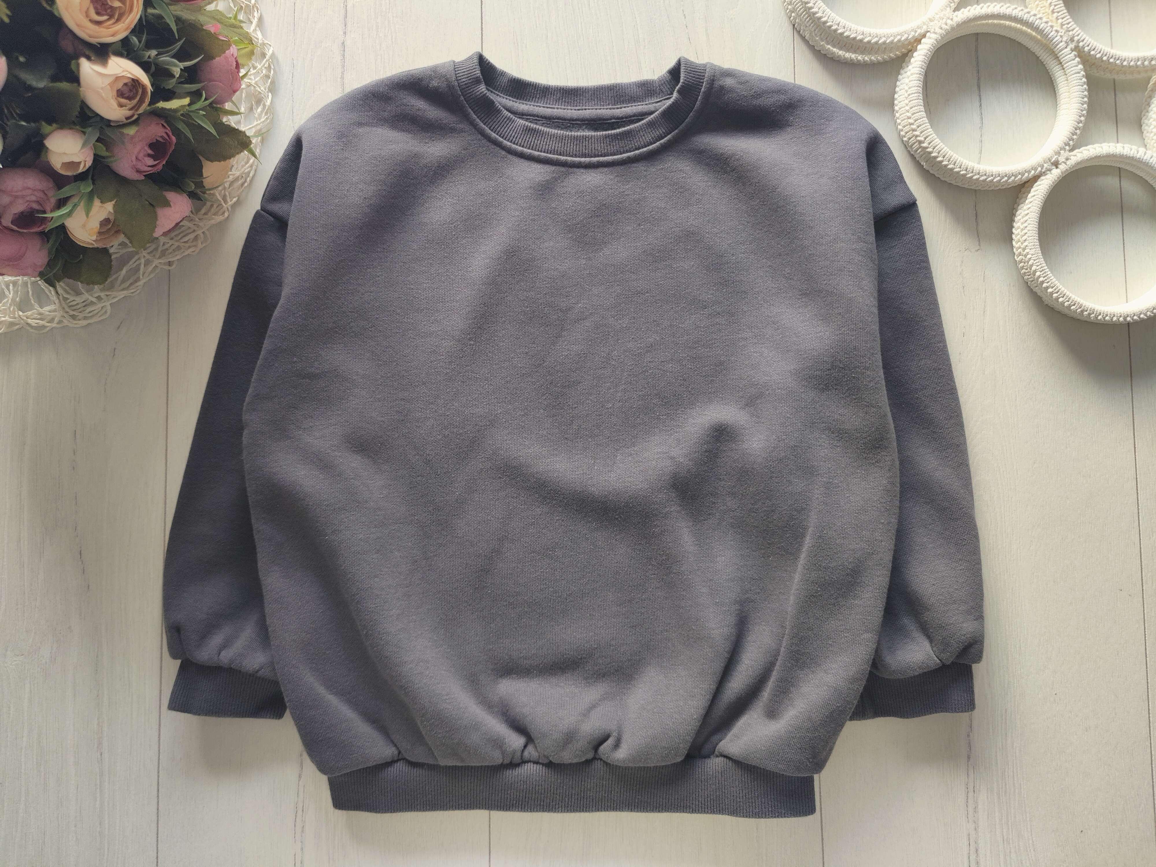 4,5 лет, рост 104,110 Свитшот на флисе