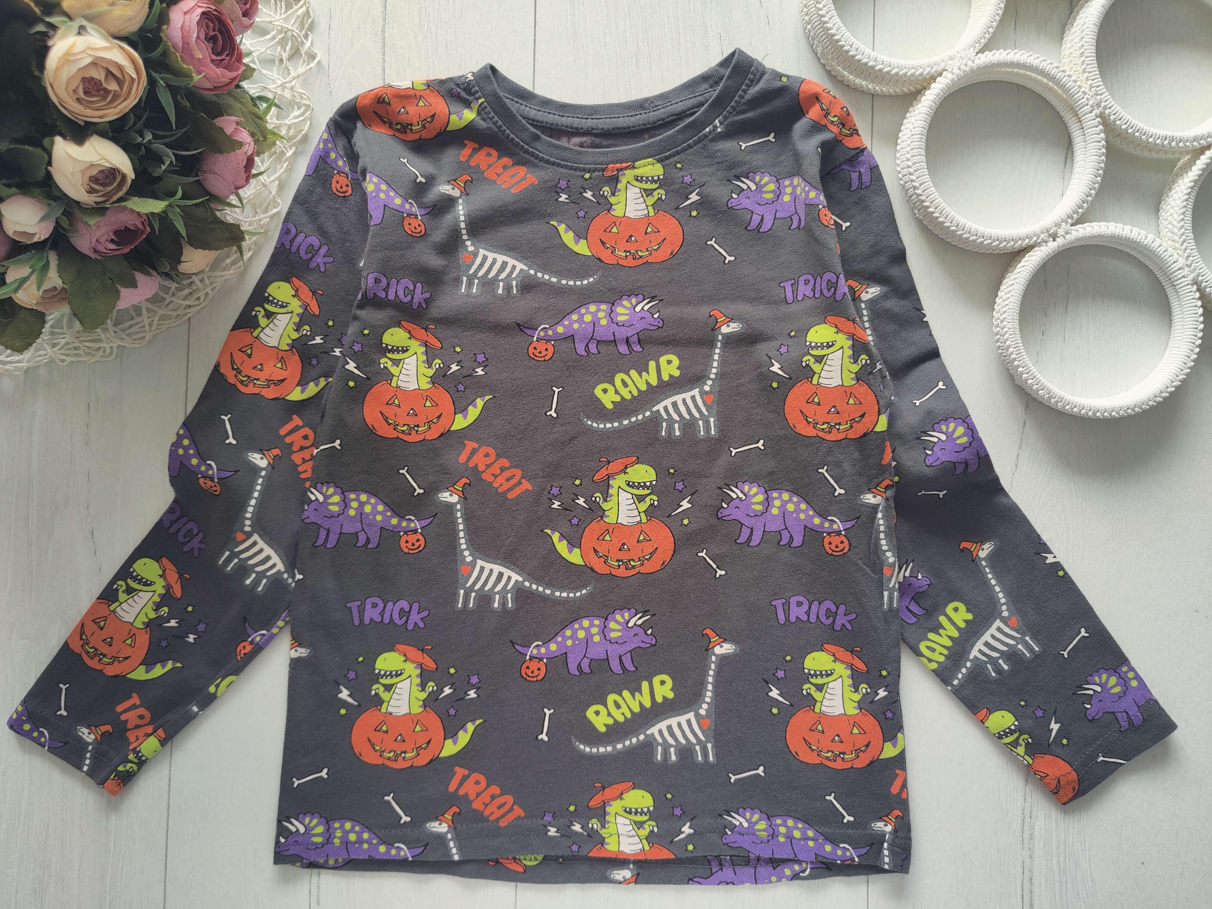 6,7 років, зріст 122 Реглан з гарбузом і динозаврами