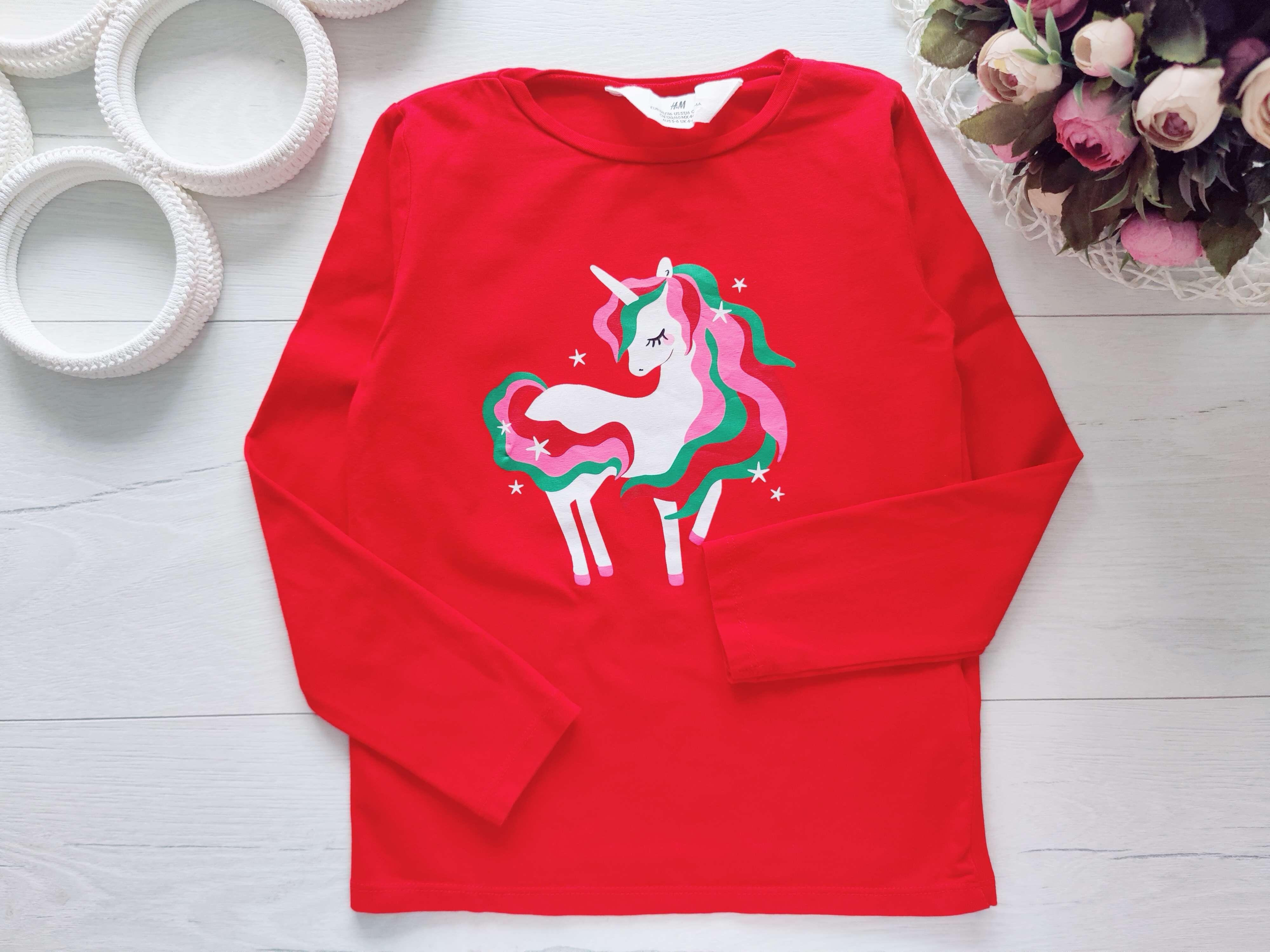 4,6 років, зріст 110,116 Реглан з поні