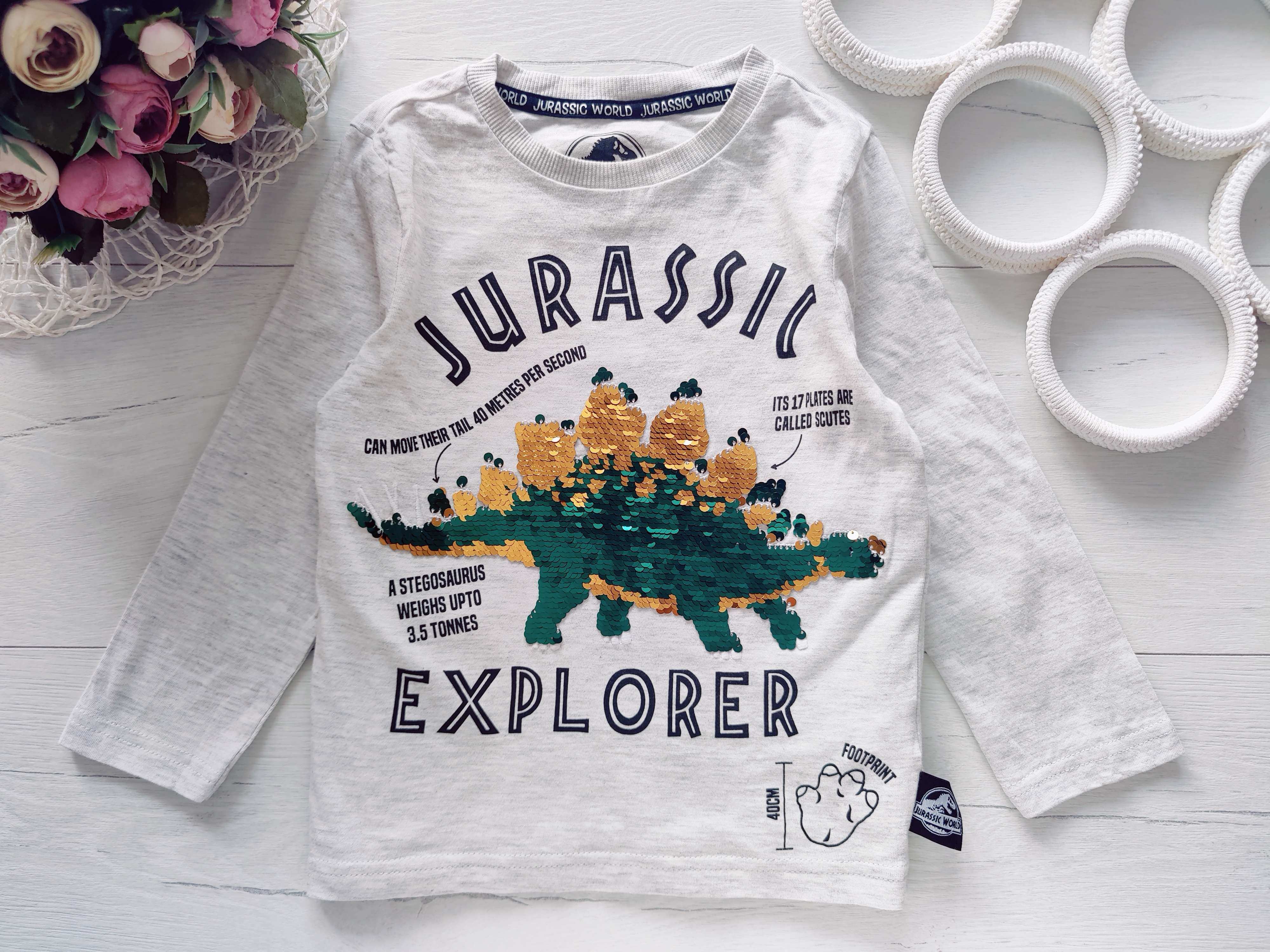 3,4 роки, зріст 104 Реглан із динозавром