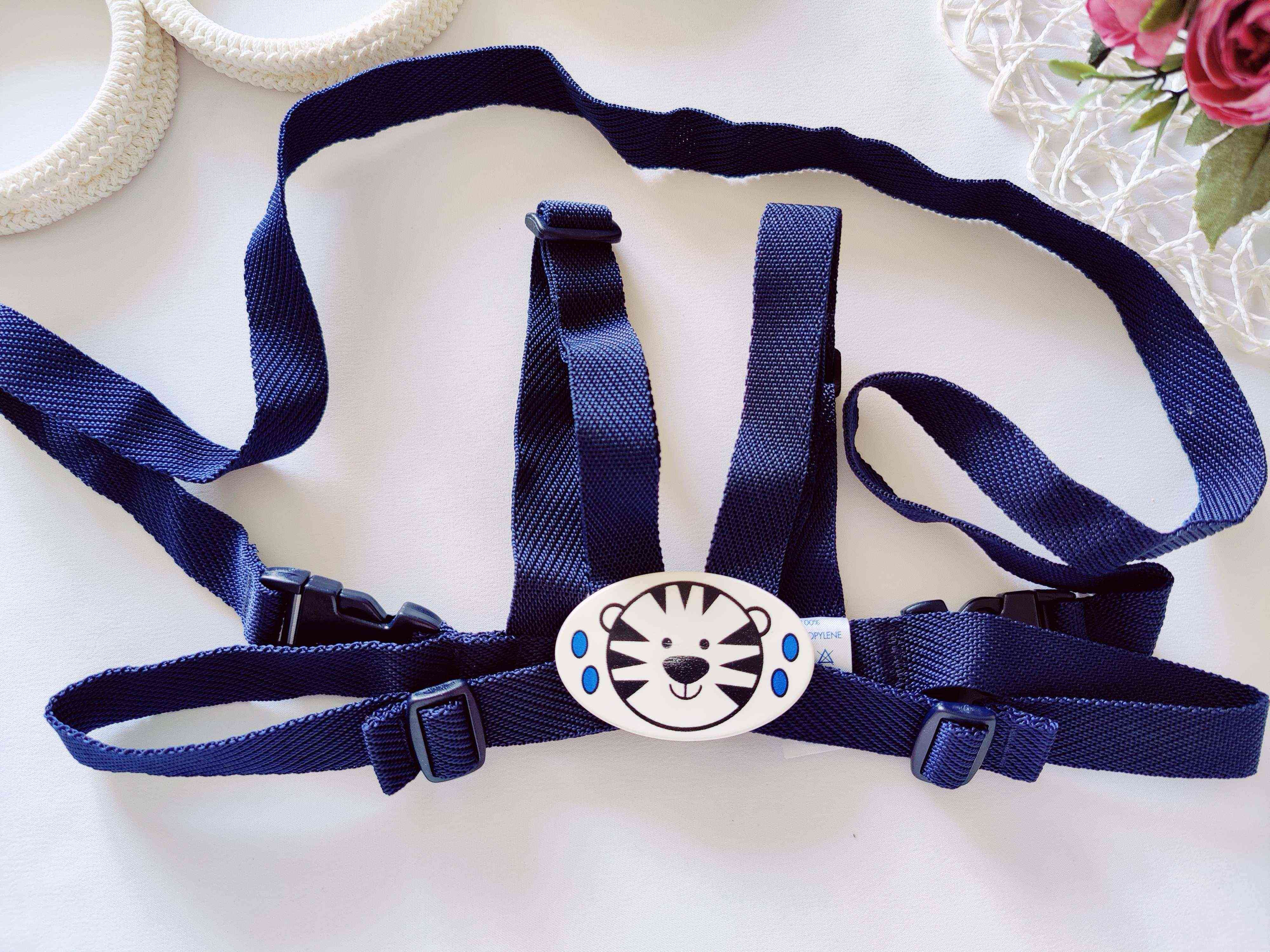 Дитячі віжки