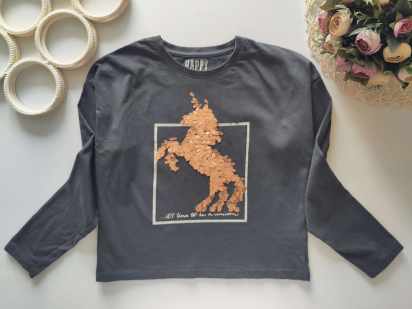 9,10 лет, рост 140 Реглан с пони с пайкетками