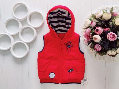 3,6 міс, зріст 62,68 Нова тепла жилетка на блискавці