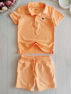 2,3 роки, зріст 98 Яскраве поло і шорти