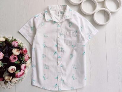 6 років, зріст 116 Літня сорочка
