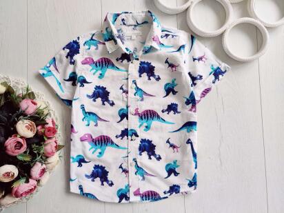 3,4 роки, зріст 104 Красива літня біла сорочка в динозаврах