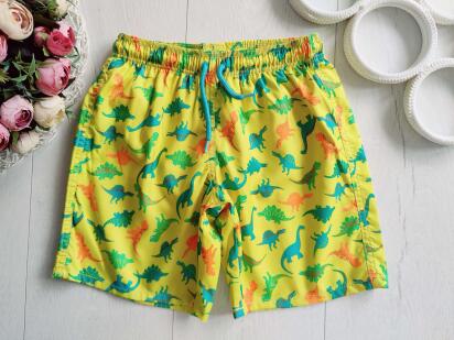 7 років, зріст 122 Шорти в динозаврах