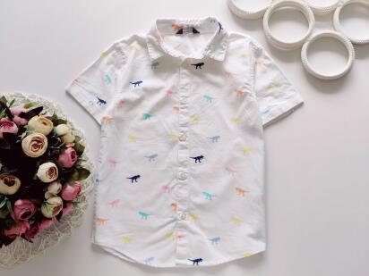 6,7 років, зріст 122 Біла сорочка в динозаврах