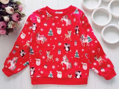 4,5 лет, рост 110 Новогодний свитшот на флисе
