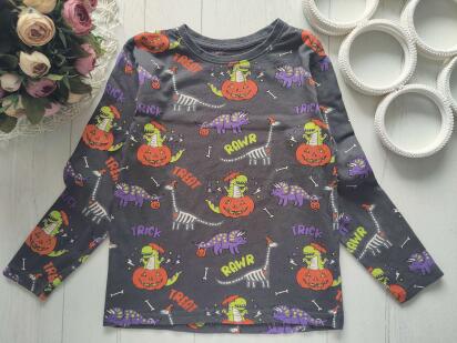 6,7 років, зріст 122 Реглан з гарбузом і динозаврами