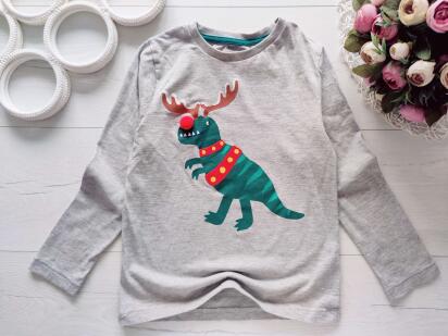 6,7 лет, рост 122 Реглан с динозавром