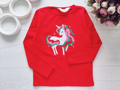 4,6 лет, рост 110,116 Реглан с пони