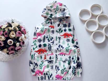 4,5 лет, рост 104,110 Ветровка в динозаврах