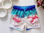 12,18 міс, зріст 80,86 Яскраві дитячі шорти - зображення 1